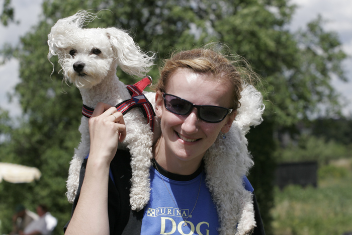 flyball063.jpg